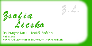 zsofia licsko business card